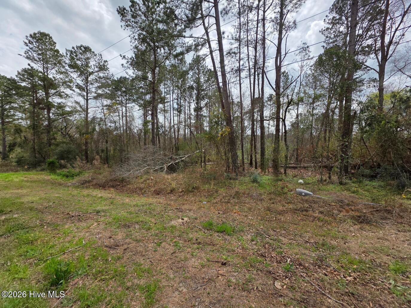 1894 Mcdade Farm Road