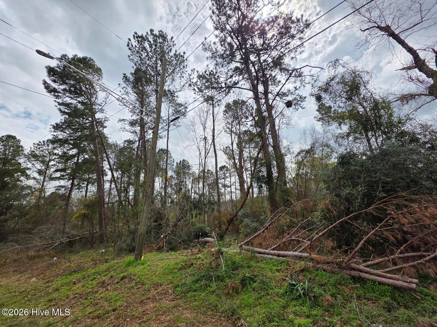 1894 Mcdade Farm Road