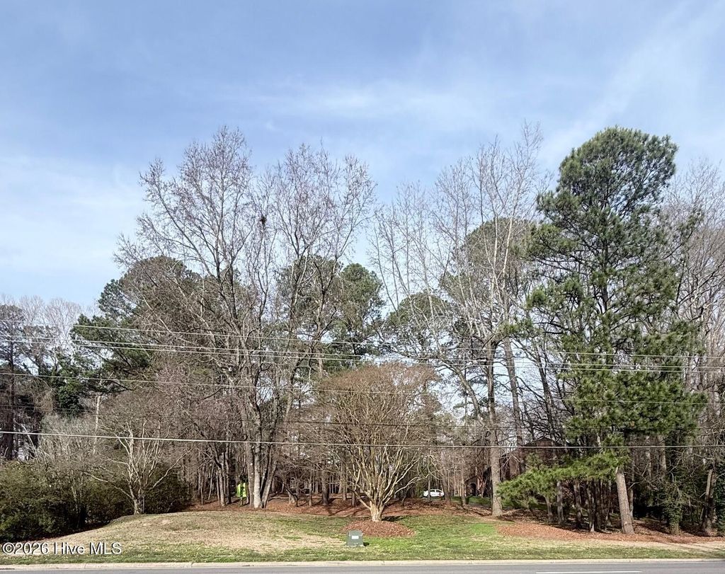 Photo of 0 Forest Hills Road NW, Wilson, NC 27896 (MLS # 100558384)