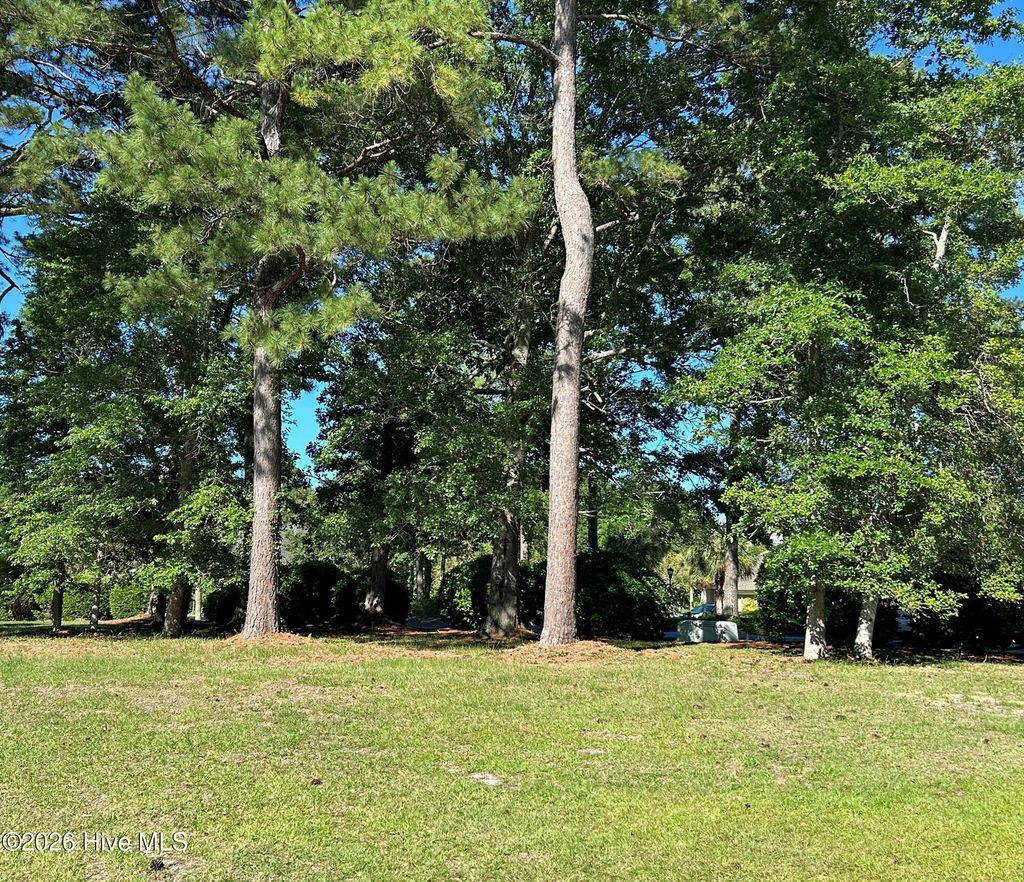 Photo of 174 Staffordshire Place SW, Ocean Isle Beach, NC 28469 (MLS # 100575376)