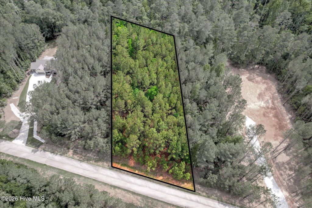 Photo of 1054 Longleaf Way, Lincolnton, GA 30817 (MLS # 100574037)