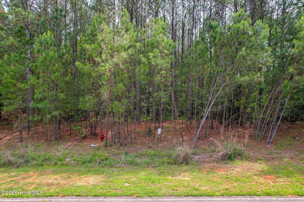 Photo of 1054 Longleaf Way, Lincolnton, GA 30817 (MLS # 100574037)