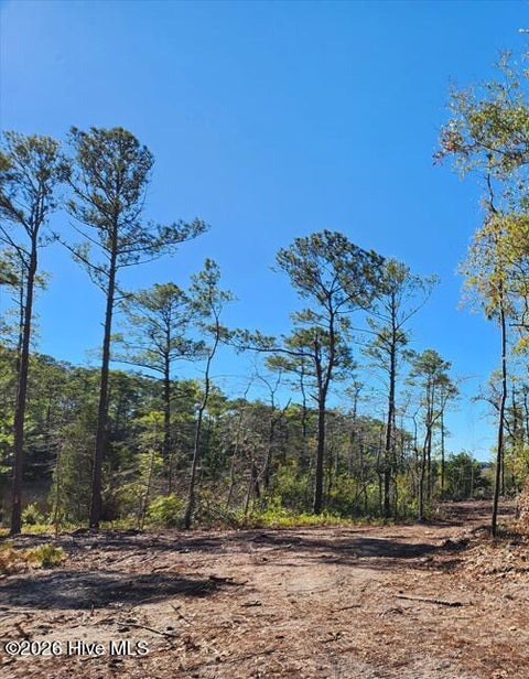Vacant Land For Sale - LOT 215 Starling Break Road<br/> Southport, NC 28461