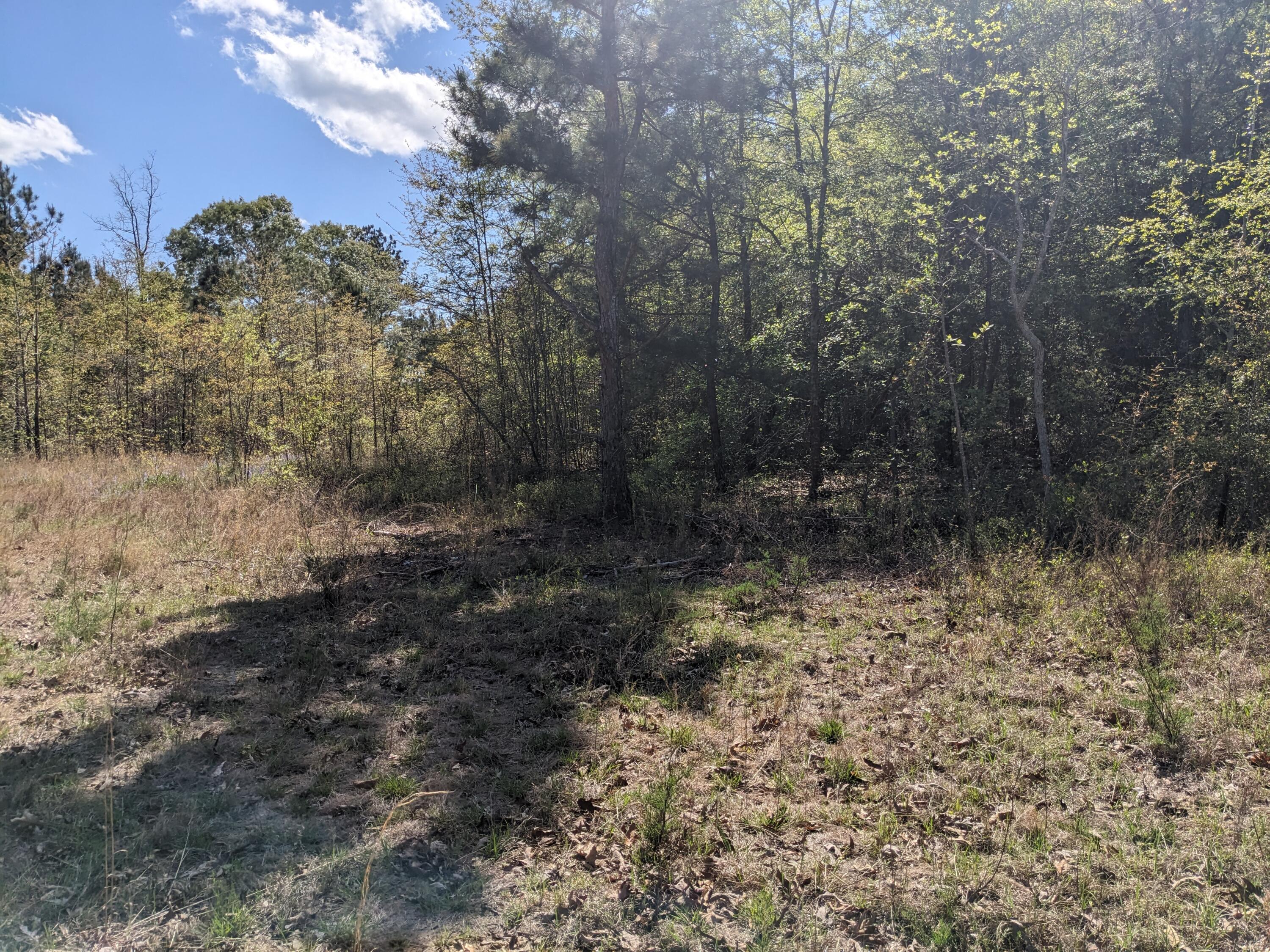 4781 Deans Bridge Road