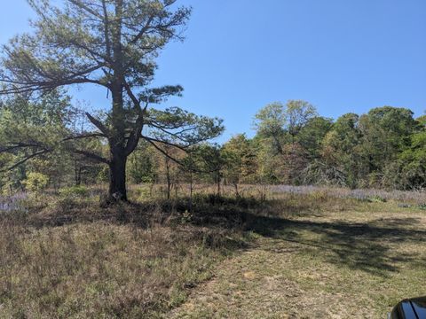 Vacant Land For Sale - 4781 Deans Bridge Road<br/> Blythe, GA 30805