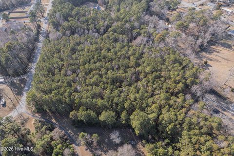 Tiny photo for 131 Henson Road, Hubert, NC 28539 (MLS # 100554735)