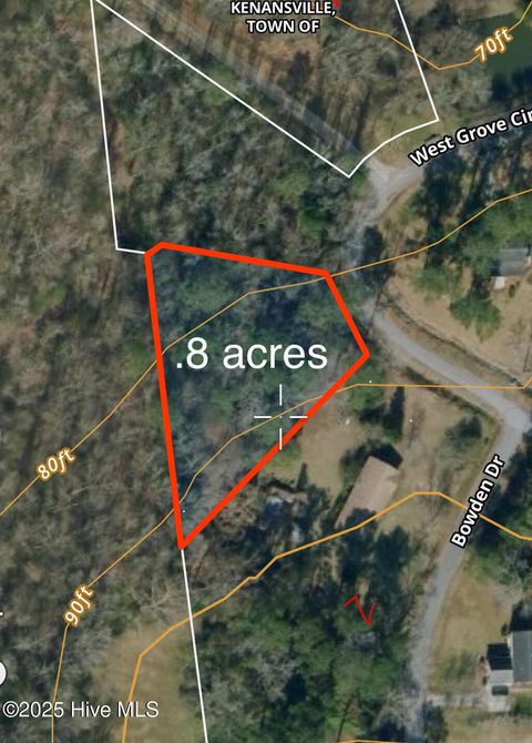 Vacant Land For Sale - W Grove Circle<br/> Kenansville, NC 28349