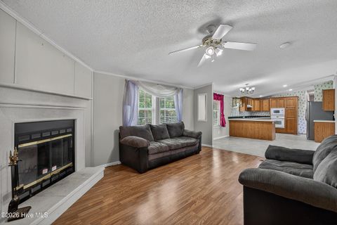 Tiny photo for 304 Washington Creek Drive, Willard, NC 28478 (MLS # 100579744)
