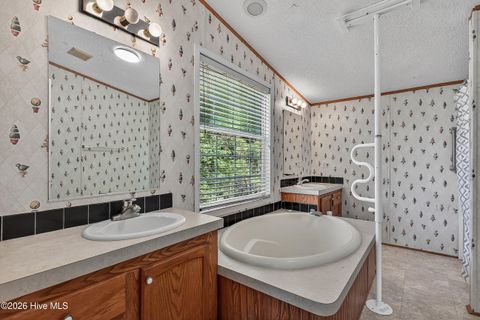 Tiny photo for 304 Washington Creek Drive, Willard, NC 28478 (MLS # 100579744)