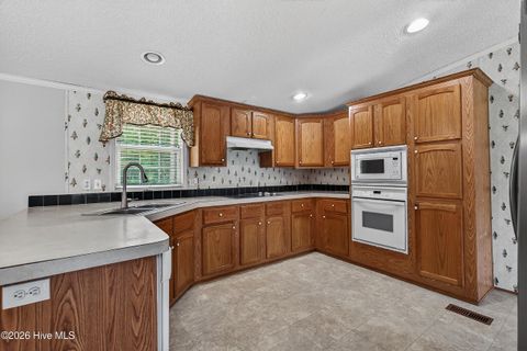 Tiny photo for 304 Washington Creek Drive, Willard, NC 28478 (MLS # 100579744)