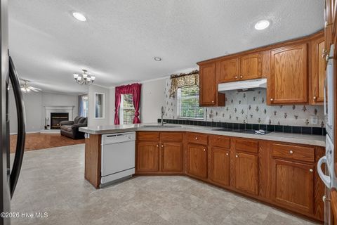 Tiny photo for 304 Washington Creek Drive, Willard, NC 28478 (MLS # 100579744)