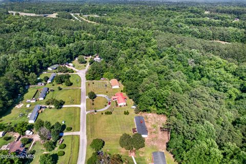 Tiny photo for 304 Washington Creek Drive, Willard, NC 28478 (MLS # 100579744)