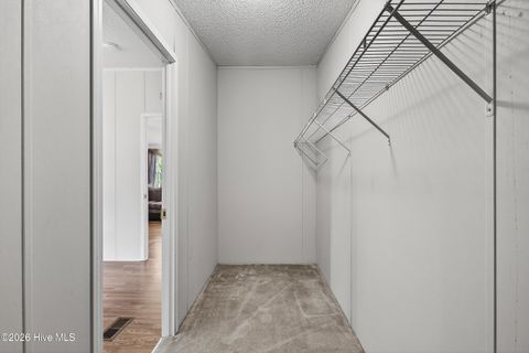 Tiny photo for 304 Washington Creek Drive, Willard, NC 28478 (MLS # 100579744)