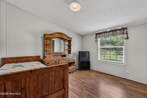 Tiny photo for 304 Washington Creek Drive, Willard, NC 28478 (MLS # 100579744)