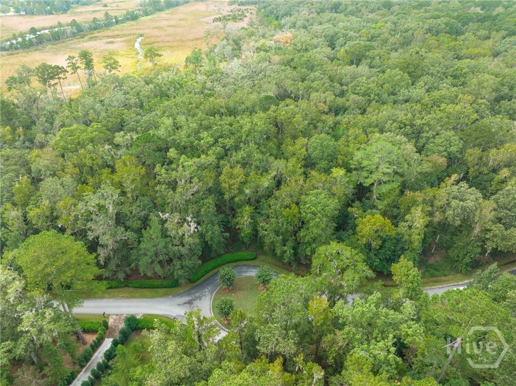 Photo of 430 McAllister Landing, Richmond Hill, GA 31324 (MLS # SA348380)