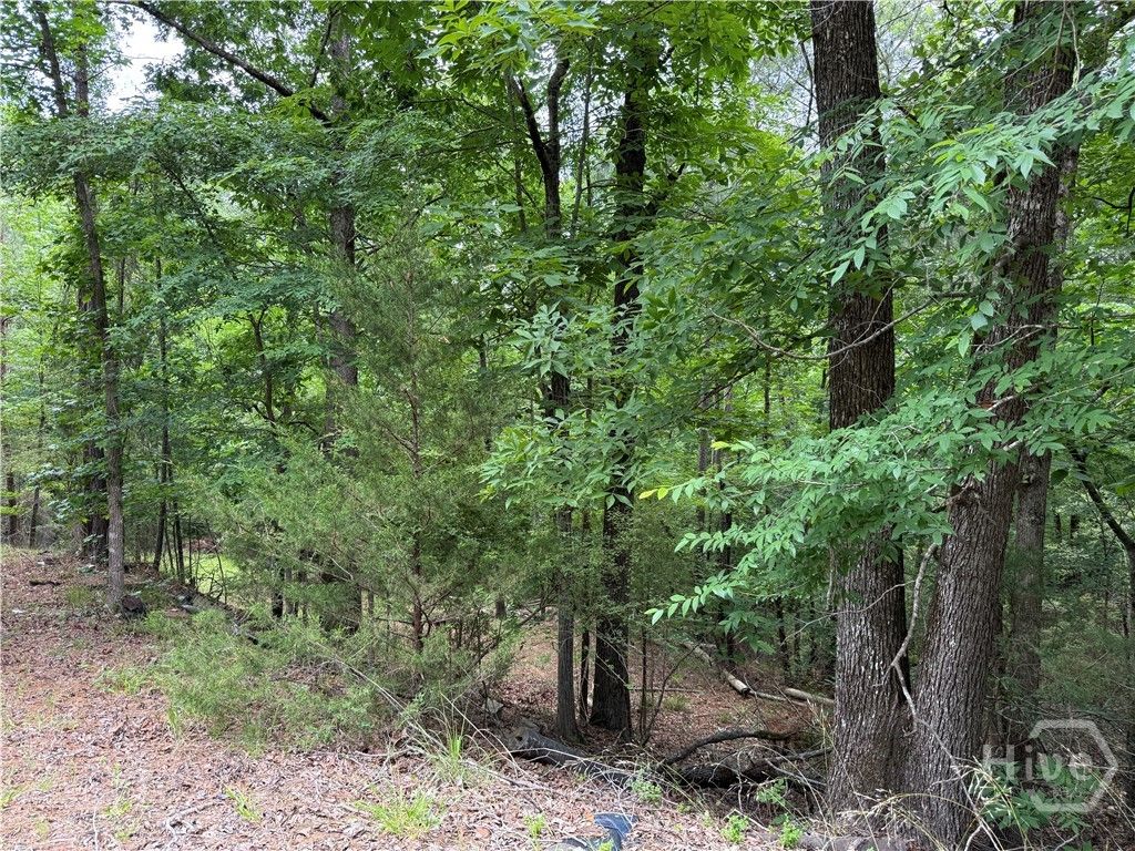 Photo of 52 Bramlett Cr, Elberton, GA 30635 (MLS # CL356077)