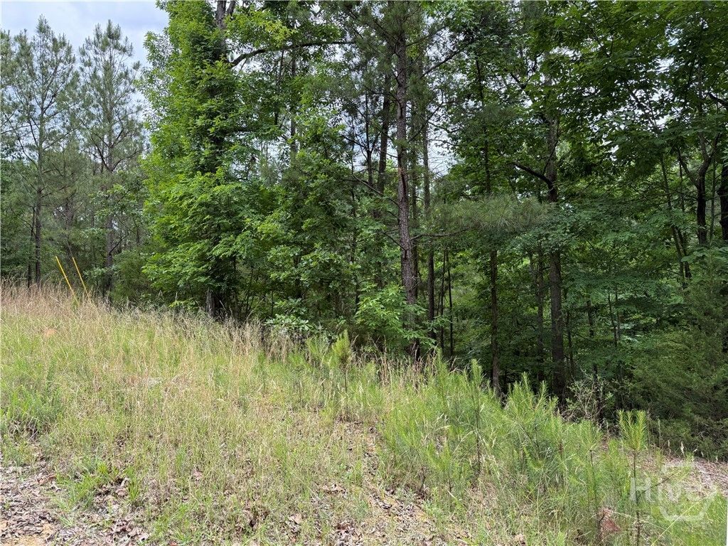 Photo of 52 Bramlett Cr, Elberton, GA 30635 (MLS # CL356077)