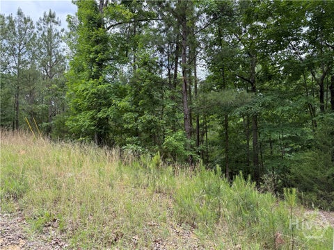 Vacant Land For Sale - LOT 52 Bramlett Cr<br/> Elberton, GA 30635