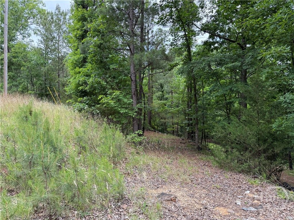 Photo of 52 Bramlett Cr, Elberton, GA 30635 (MLS # CL356077)