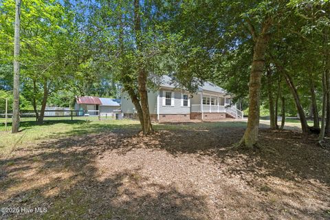 Homes For Sale - 981 Sloop Point Loop Road<br/> Pender County, Hampstead, NC 28443