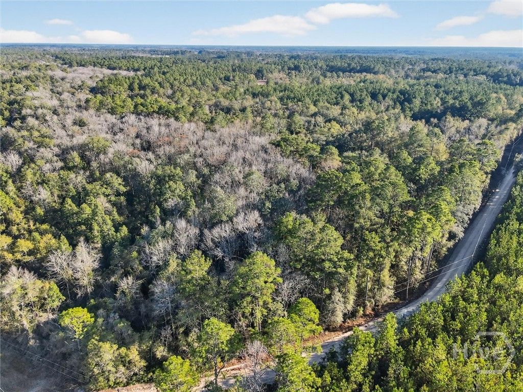 Photo of 0 Beautuiful Zion Cemetery Road, Pembroke, GA 31321 (MLS # SA347165)