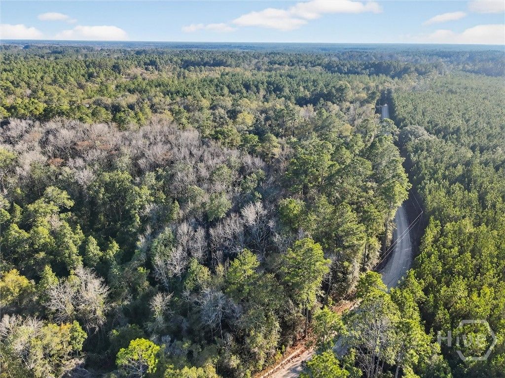 Photo of 0 Beautuiful Zion Cemetery Road, Pembroke, GA 31321 (MLS # SA347165)