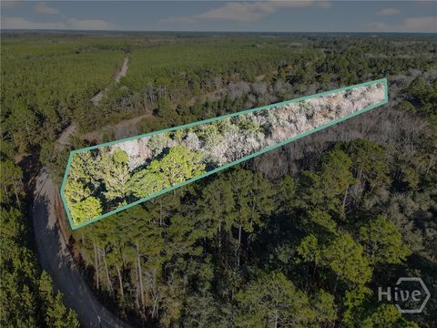 Vacant Land For Sale - Beautuiful Zion Cemetery Road<br/> Pembroke, GA 31321