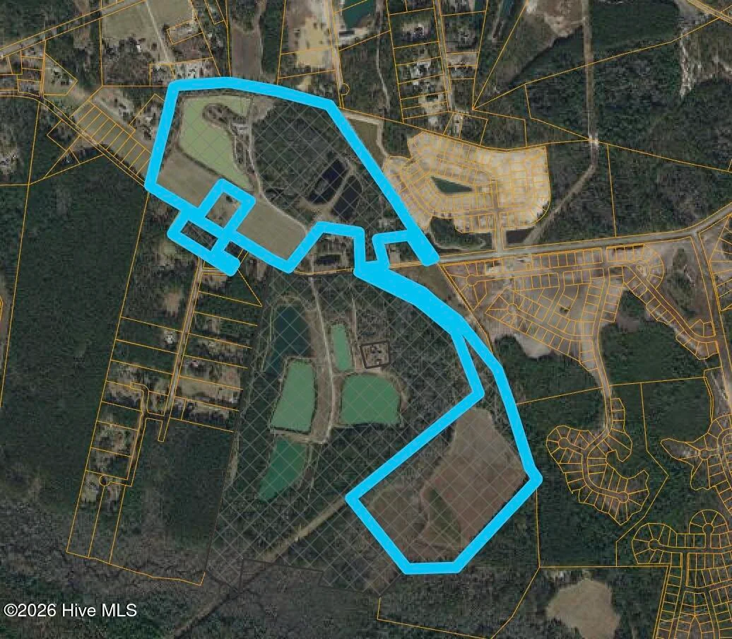 101 Acres Old Highway 90, Conway, SC, 29526
