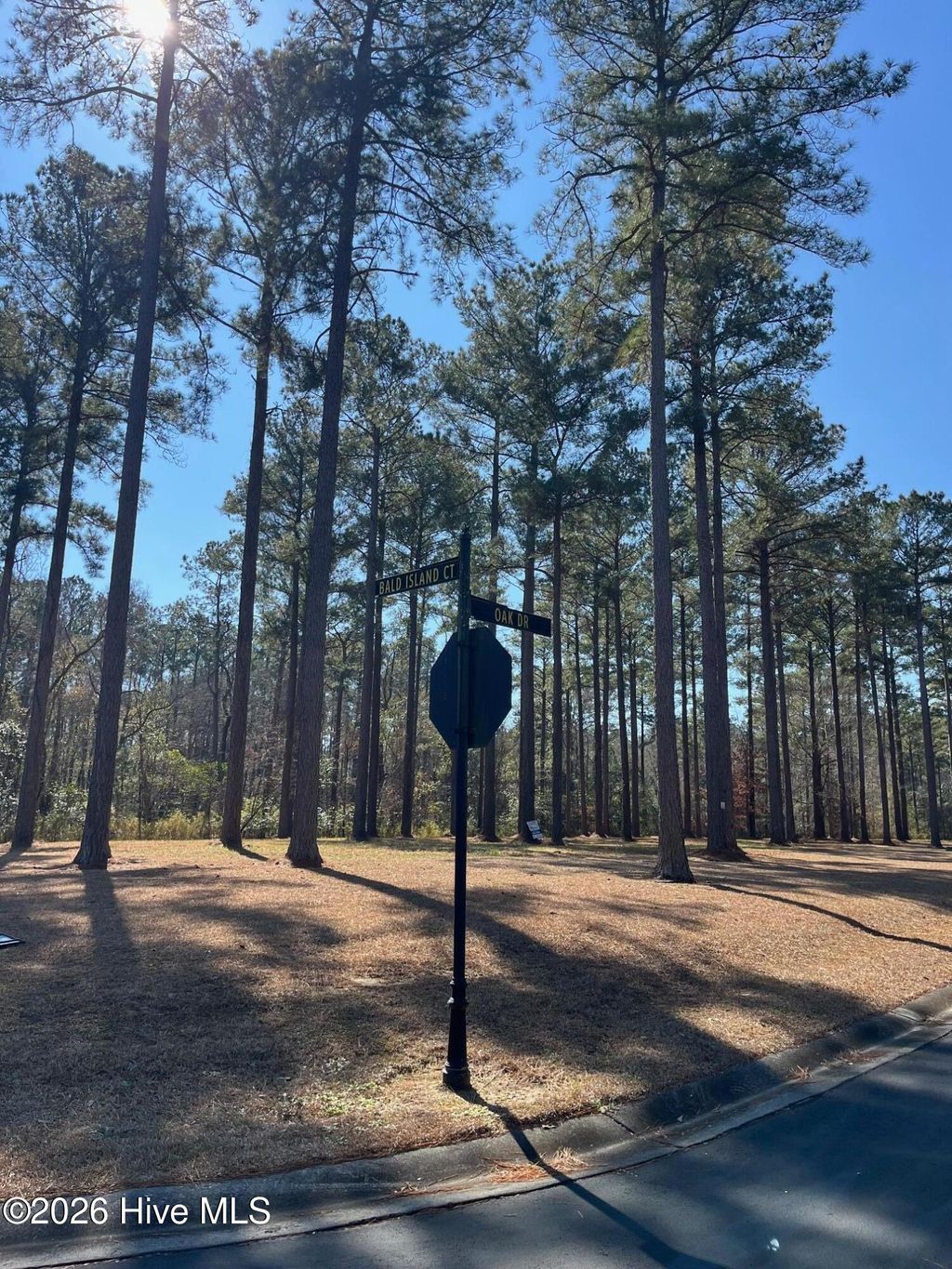 Photo of 23 Bald Head Island Court S, Oriental, NC 28571 (MLS # 100555727)