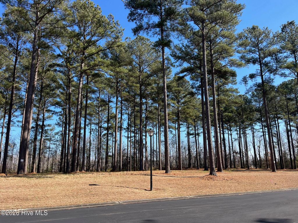 Photo of 23 Bald Head Island Court S, Oriental, NC 28571 (MLS # 100555727)