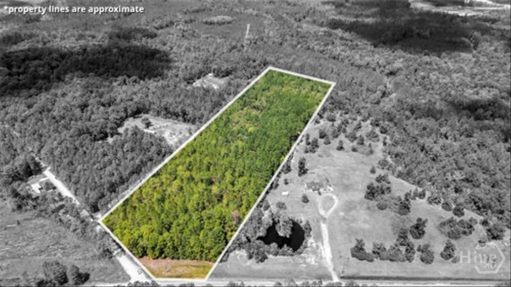 Photo of 15 Elim Church Road NE, Ludowici, GA 31316 (MLS # SA365277)