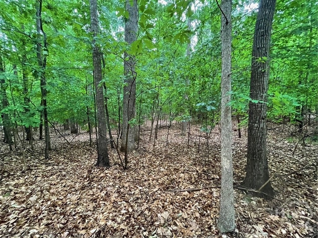 Photo of 887 Nicklaus Road, Westminster, SC 29693 (MLS # CL355346)