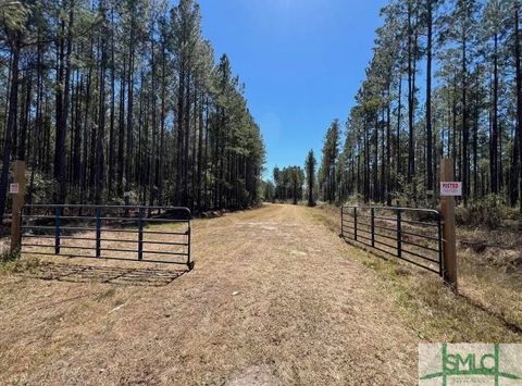 Vacant Land For Sale - 1 Rye Patch Ne Road<br/> Long County, Ludowici, GA 31316