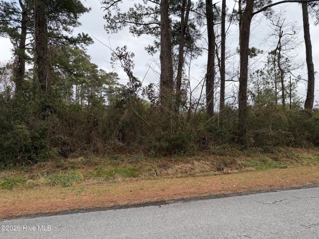 Photo of 249 Nelson Neck Road, Sea Level, NC 28577 (MLS # 100556369)