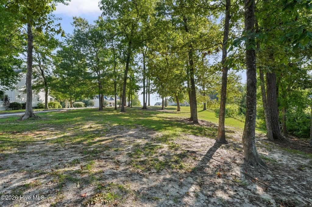 Photo of 209 Creek View Circle, Sneads Ferry, NC 28460 (MLS # 100601872)