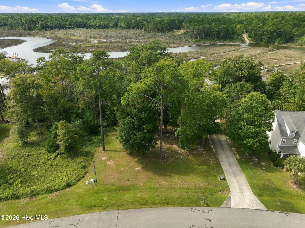 Photo of 209 Creek View Circle, Sneads Ferry, NC 28460 (MLS # 100601872)