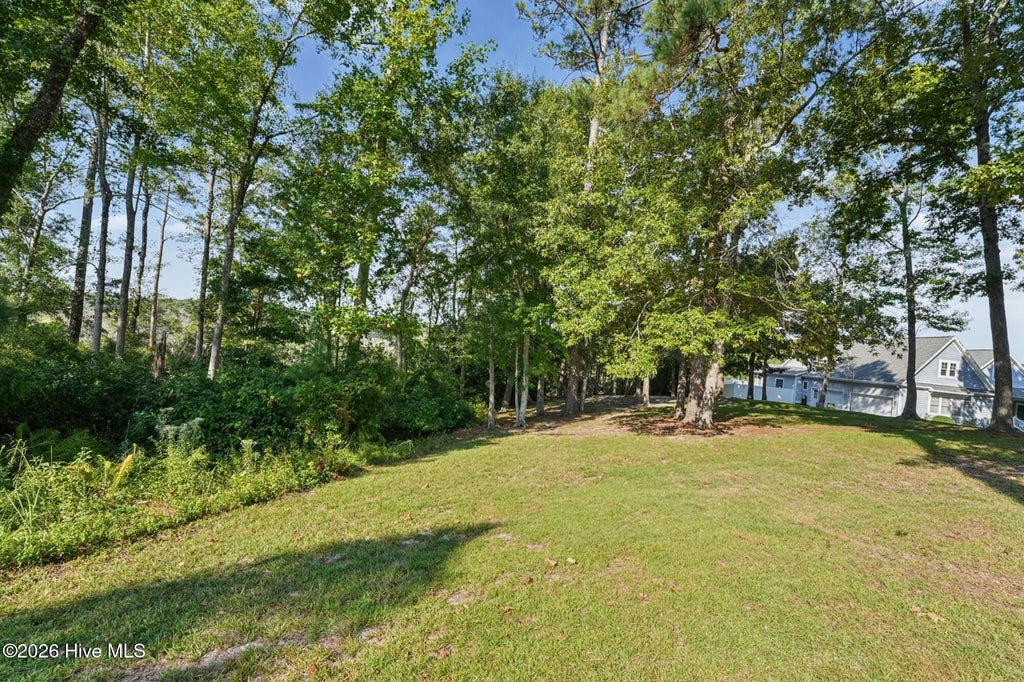 Photo of 209 Creek View Circle, Sneads Ferry, NC 28460 (MLS # 100601872)