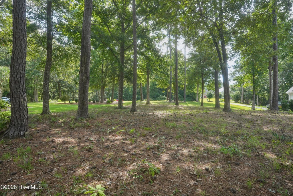 Photo of 209 Creek View Circle, Sneads Ferry, NC 28460 (MLS # 100601872)