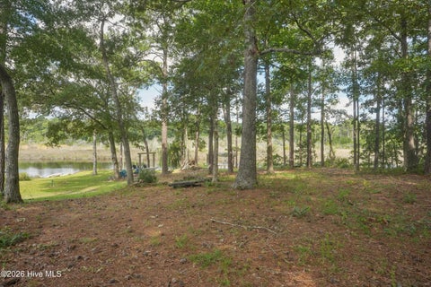 Tiny photo for 209 Creek View Circle, Sneads Ferry, NC 28460 (MLS # 100601872)