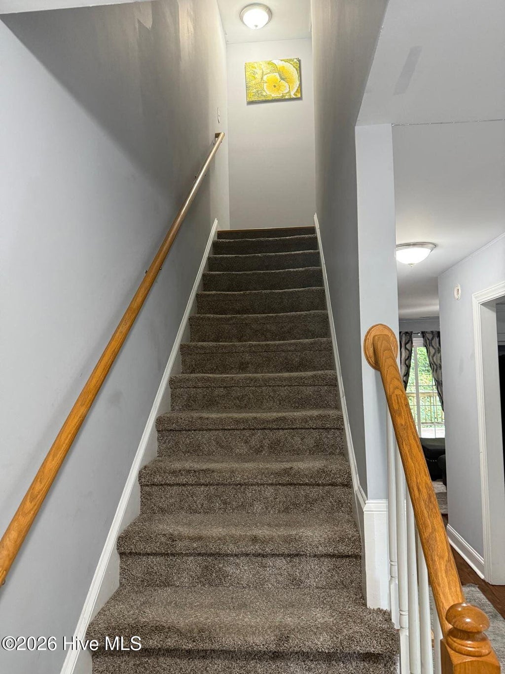 Photo of 4116 Brook Creek Lane #B, Greenville, NC 27858 (MLS # 100602562)