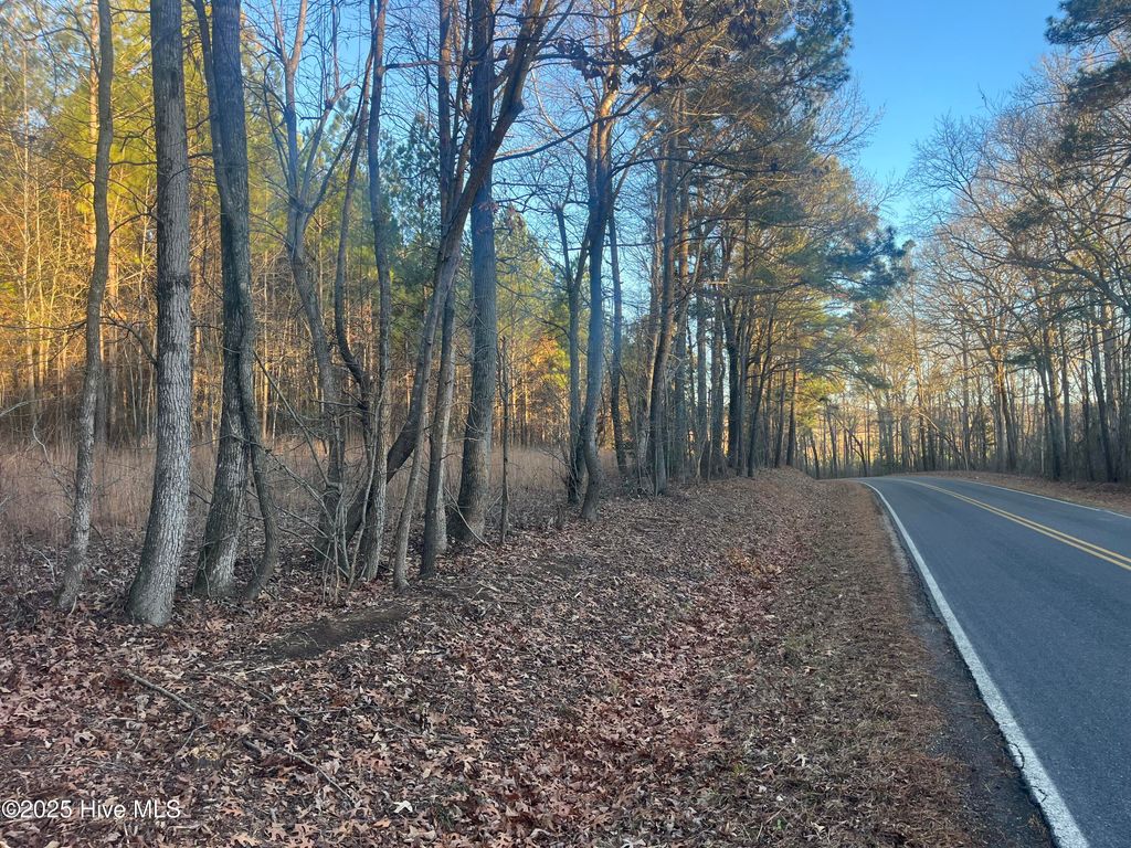 Photo of Tbd Bensalem Church Road, Eagle Springs, NC 27242 (MLS # 100546805)