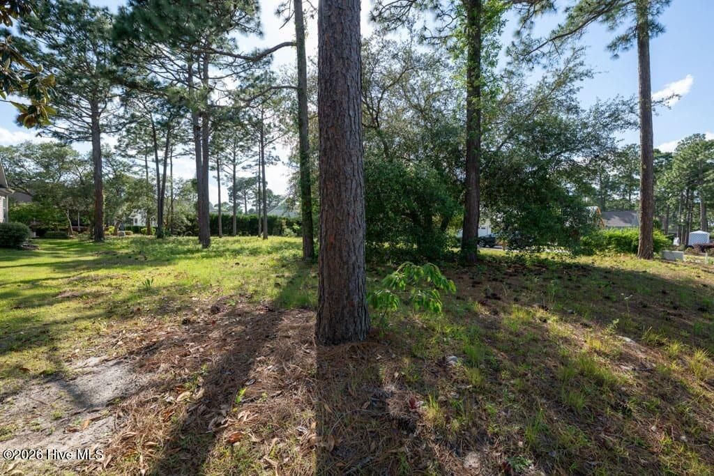 Photo of 205 Planters Ridge Drive, Sunset Beach, NC 28468 (MLS # 100574505)