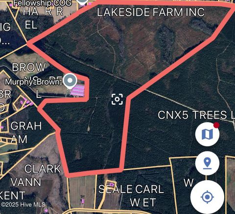 Vacant Land For Sale - Lisbon Road<br/> Bladen County, Clarkton, NC 28433