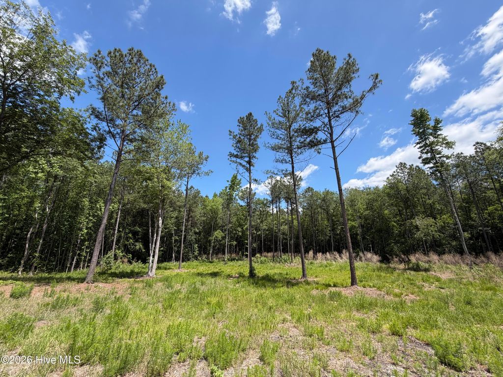 Photo of 979 Aiken Road, Vass, NC 28394 (MLS # 100577396)