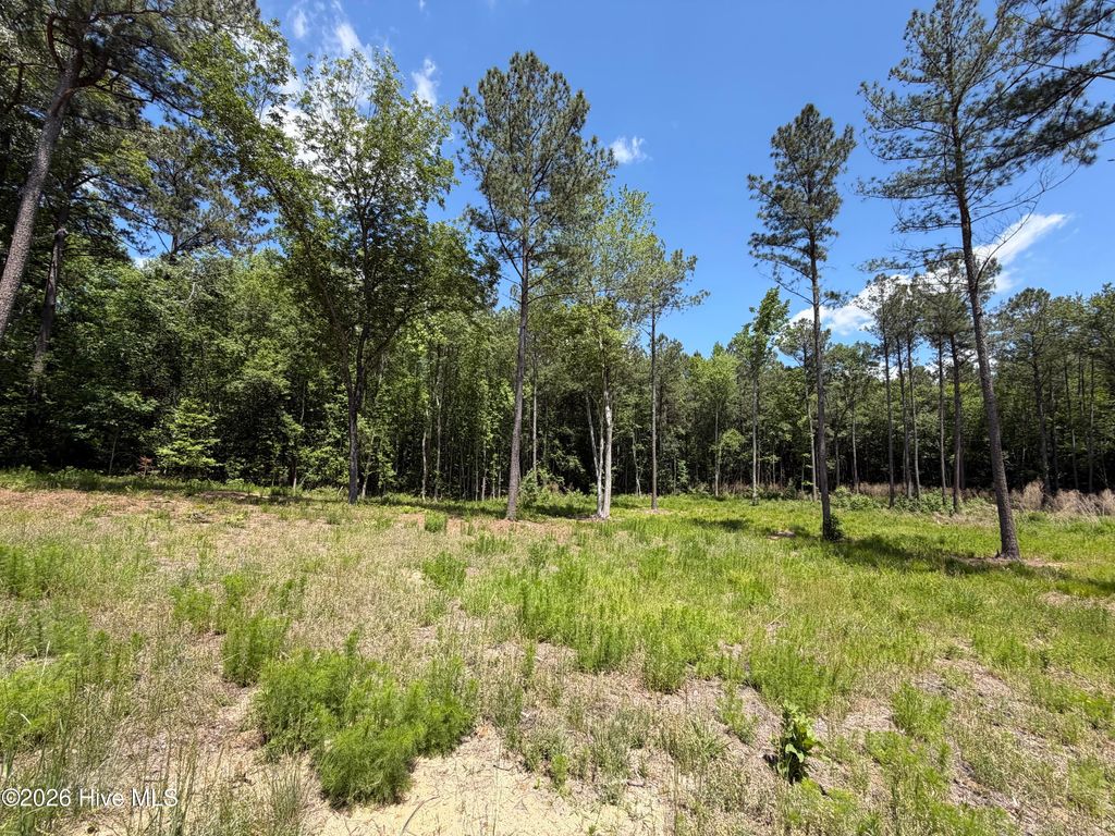 Photo of 979 Aiken Road, Vass, NC 28394 (MLS # 100577396)
