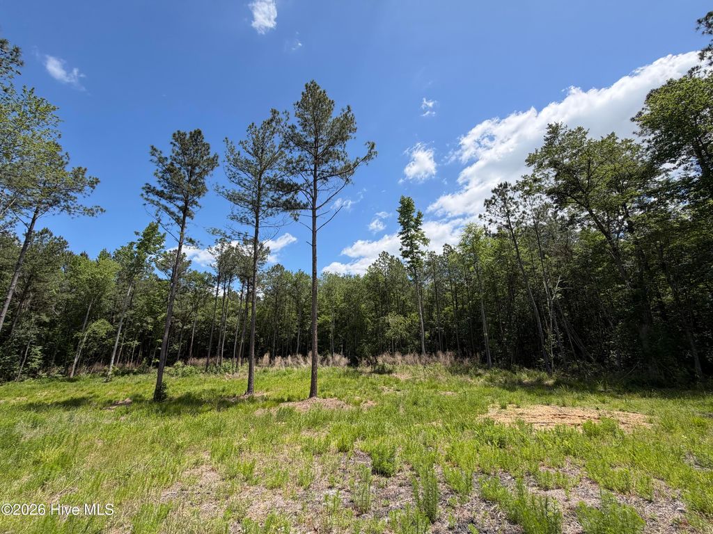 Photo of 979 Aiken Road, Vass, NC 28394 (MLS # 100577396)