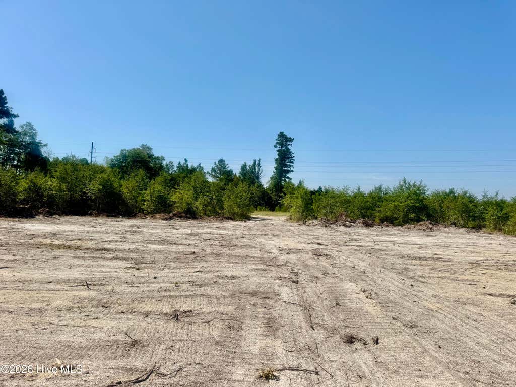 Photo of 0 Dowd Dairy Road, White Oak, NC 28399 (MLS # 100598930)