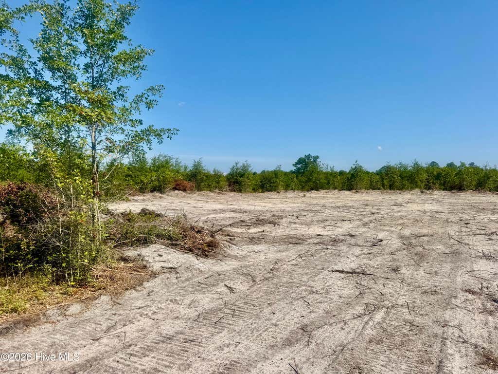 Photo of 0 Dowd Dairy Road, White Oak, NC 28399 (MLS # 100598930)