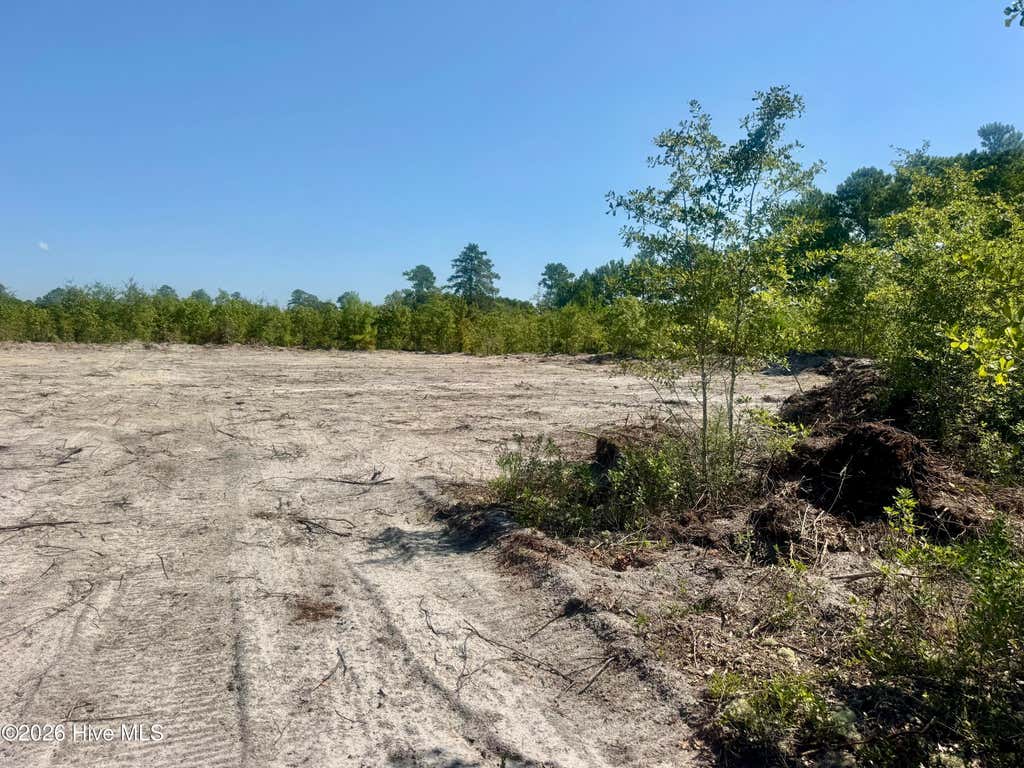 Photo of 0 Dowd Dairy Road, White Oak, NC 28399 (MLS # 100598930)