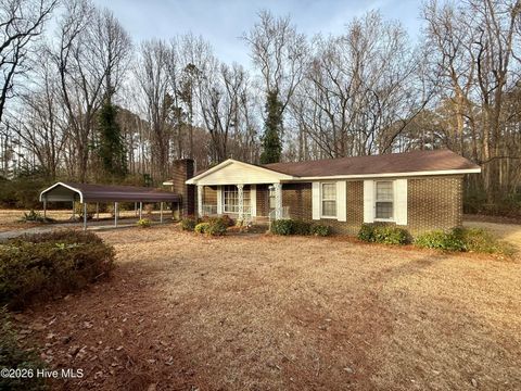 Homes For Sale - 1420 Lum Brown Road<br/> Martin County, Williamston, NC 27892